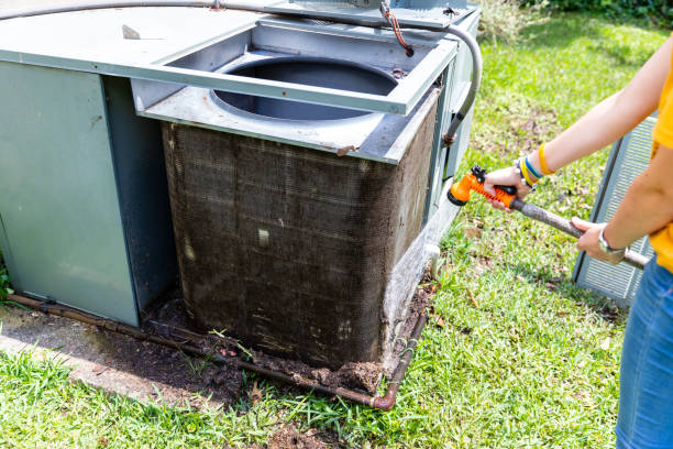 Best Home Air Vent Cleaning  in Greendale, IN