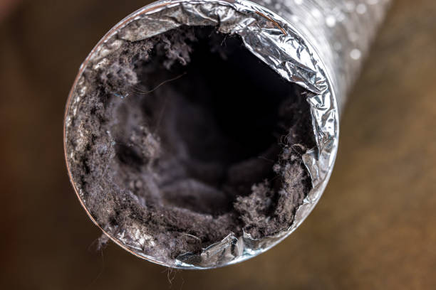 Best Ductwork Cleaning Services  in Greendale, IN