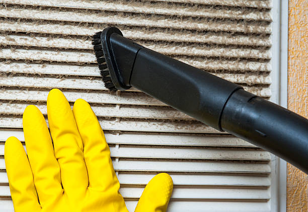 Best Affordable Air Duct Cleaning  in Greendale, IN